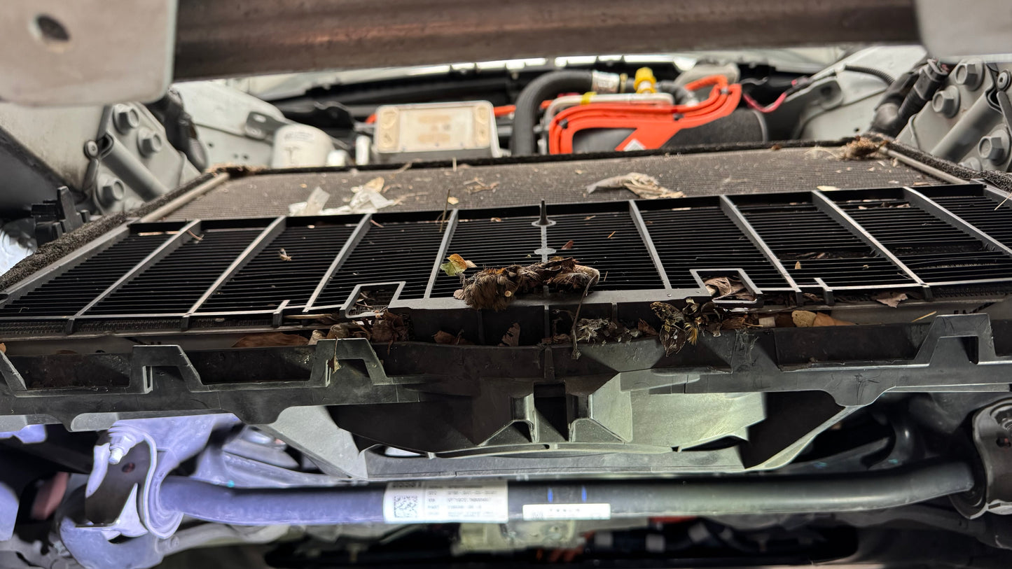 Radiator Reinigung