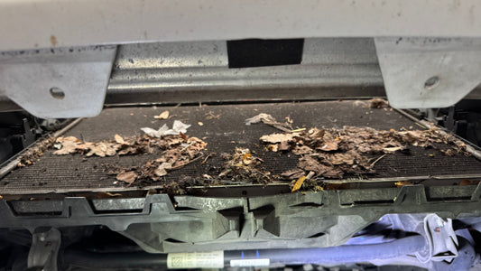 Radiator Reinigung