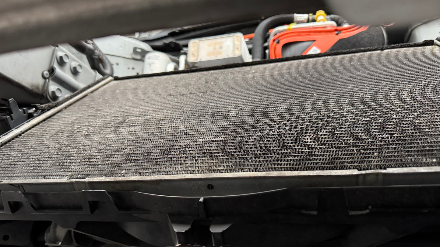 Radiator Reinigung